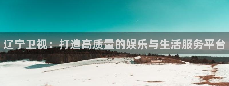 麥田映像攝影怎么樣：遼寧衛(wèi)視：打造高質(zhì)量的娛樂與生活服務(wù)平臺(tái)