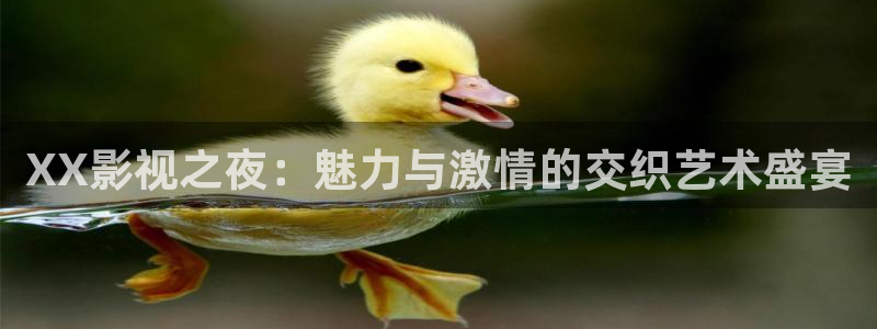 麥田影院能看哪些熱播劇：XX影視之夜：魅力與激情的交織藝術(shù)盛宴