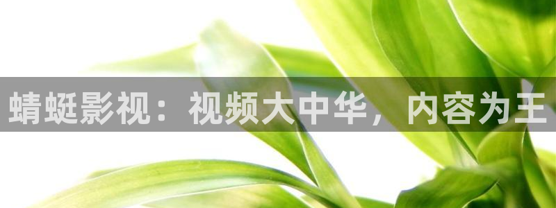 麥田影像：蜻蜓影視：視頻大中華，內容為王