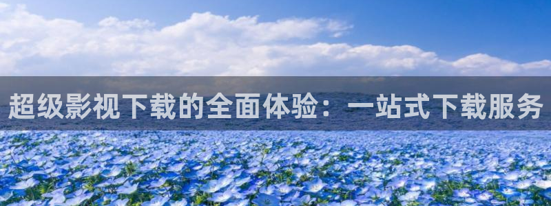 麥田汽車電影院：超級影視下載的全面體驗：一站式下載服務